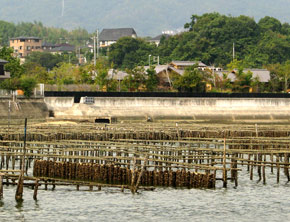 Hiroshima oyster farm