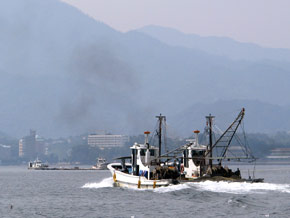 Hiroshima fishing boats
