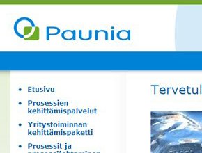 Paunia on liikkeenjohdon konsulttiyritys, joka tarjoaa palveluja yrityksille ja julkishallinnon organisaatioille.